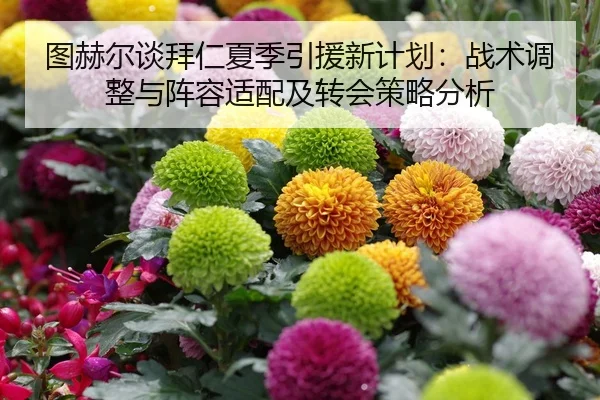 tu-he-er-tan-bai-ren-xia-ji-yin-yuan-xin-ji-hua-zhan-shu-tiao-zheng-yu-zhen-rong-shi-pei-ji-zhuan-hui-ce-lve-fen-xi-2-811.jpg